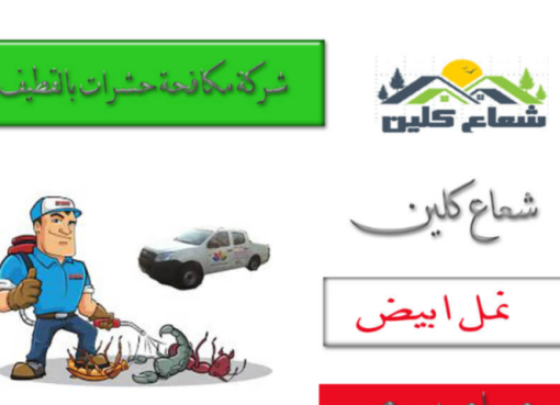 شركة مكافحة النمل الابيض بالقطيف