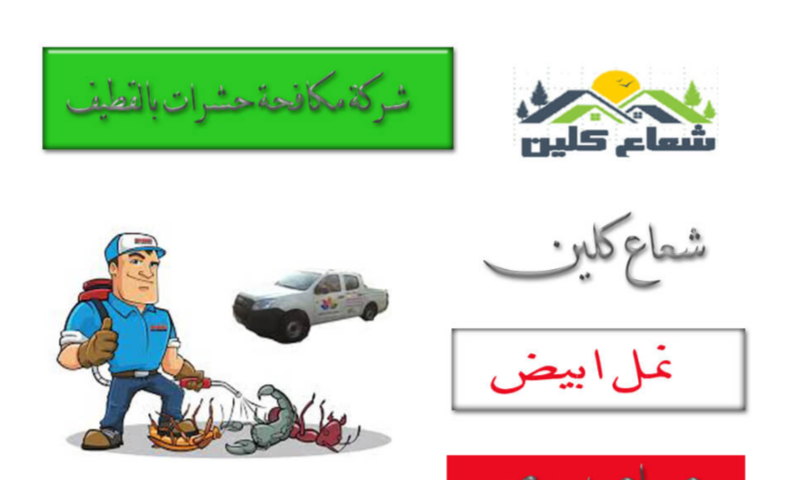 شركة مكافحة النمل الابيض بالقطيف