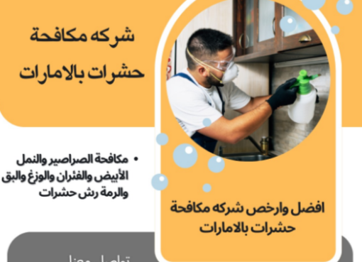 شركة مكافحة حشرات في عجمان