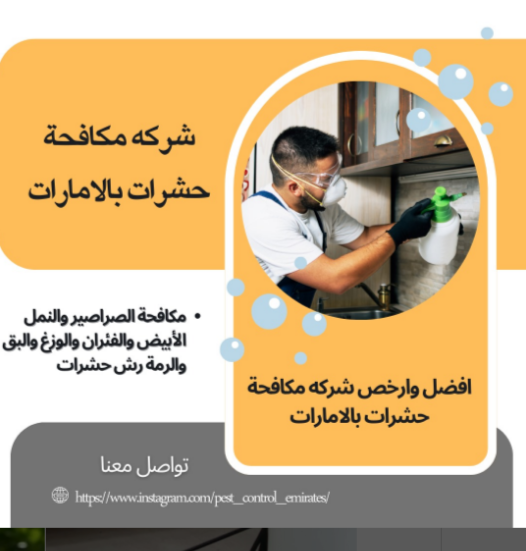 شركة مكافحة حشرات في عجمان