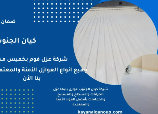 شركة عزل أسطح المباني السكنية بأبها بخبرة عالية
