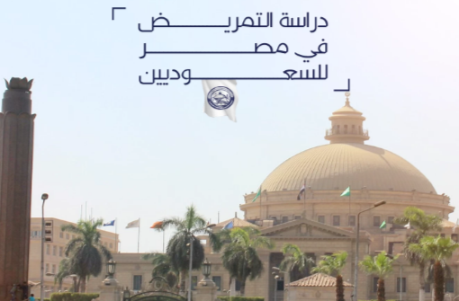 الدراسة في مصر