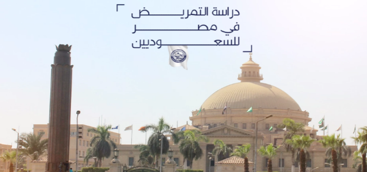 الدراسة في مصر