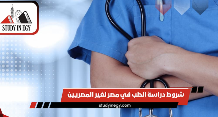 اكتشف الفوائد التعليمية للدراسة في مصر