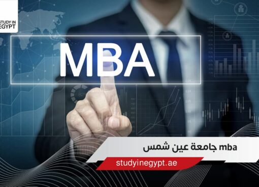 الدراسة في مصر