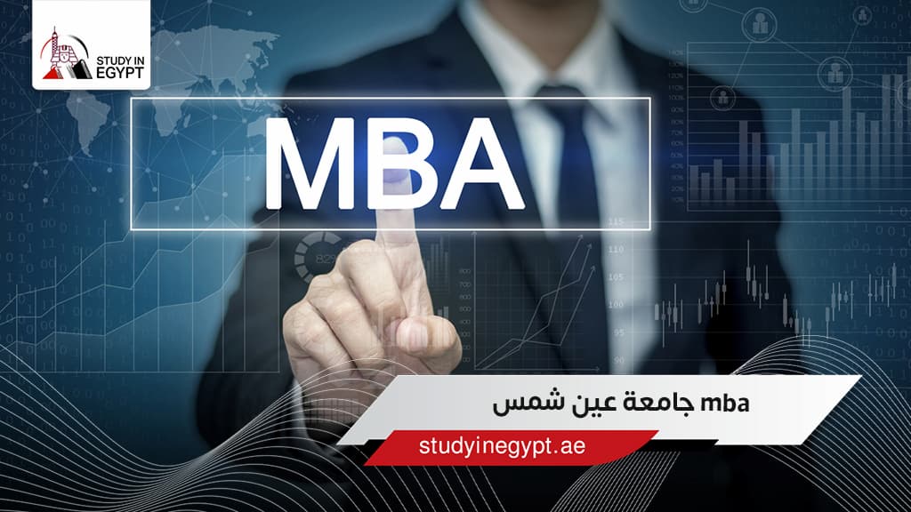 الدراسة في مصر