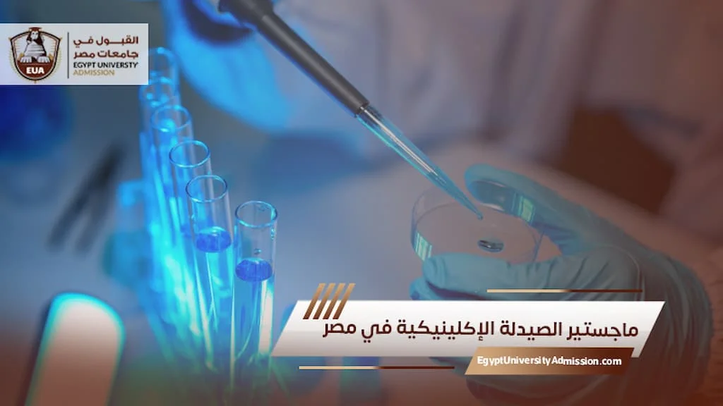 الدراسة في مصر