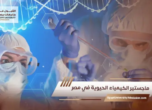 الدراسة في مصر