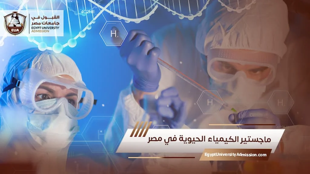 الدراسة في مصر